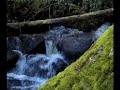 The Toorongo Falls Noogee Gippsland Australia The Toorongo Falls Noogee Gippsland Australia