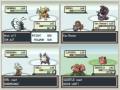 Let-s-race-pokemon-L