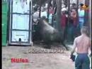 cogidas 2007