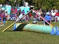 Ty, Fair Hill USDAA 2008