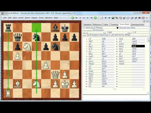 chess knight