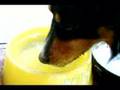 drink-water