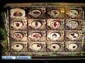 Virtual Villagers 2 Game Review
