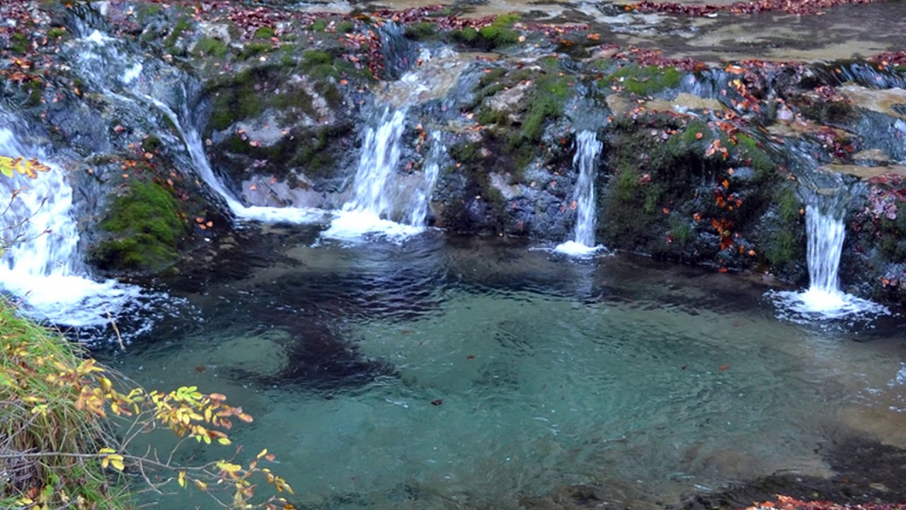 Ernesto Cortazar. Dreams.