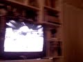 Bores boxeando