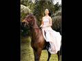 Sexy girls - Millionaire or billionaire heiresses to marry