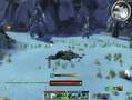 Guild wars 105hp M/N  soloing lvl24 minotaurs (Shiverpeaks)