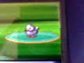 Pokemon Diamond Part 2- Twinleaf Town Beyond!!!