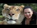[Image: Video]