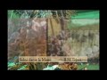 solea-dame-la-manomarchas-semana-santa-bmtejera.html