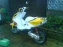 videos de My Aerox Movie  NEWCASTLE PEDS!!!