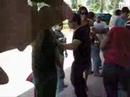 Faculdade - AESO