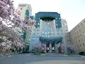 Watch a live webcast for a childhood brain tumor surgery