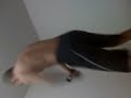 Vinicim arrebentando heuheu
