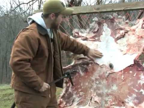 how to cure deer hide