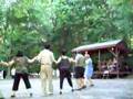 Saint Stephen's 50th Year Picnic 8/5/07 Armenian