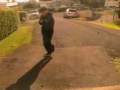 Chaw [USA Shuffler]