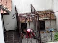 Aprenda educar seu cachorro.
