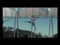 AeroVironment-Microt