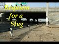 a statue of a slug is hiding in morasha junction. this little movie is accompanied by the beautiful shroud for a nightingale by richard harvey.