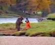 oOo homme vs ours oOo