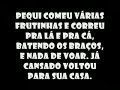 Claudemir Damasceno - O curumim alado.avi