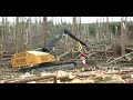 Tigercat H855C harvester walk around Part 1