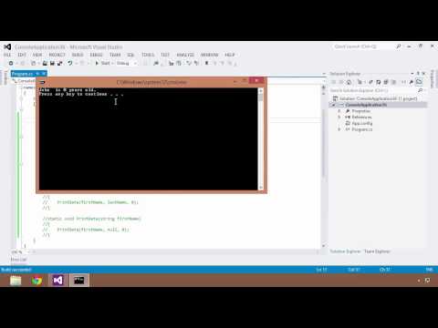 how to provide optional parameter in c#