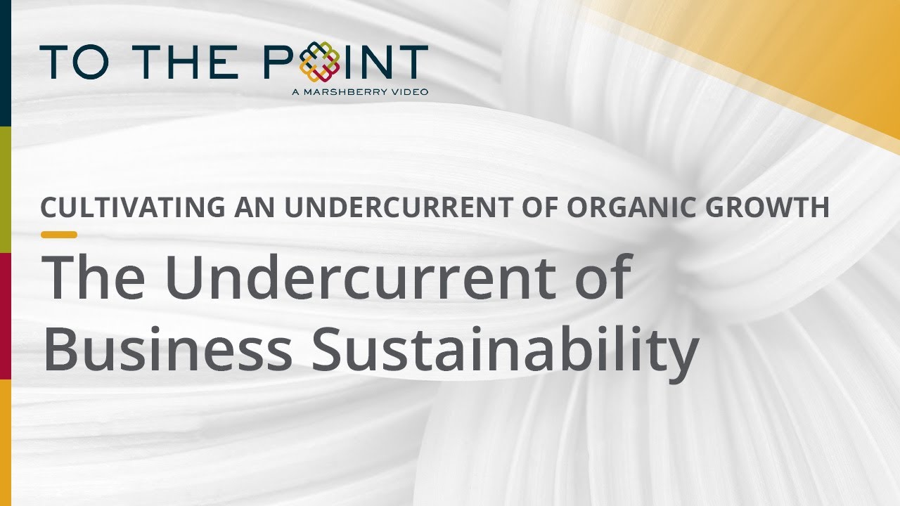 Thumbnail for The Undercurrent of Business Sustainability video