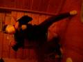videos de Tcoupy's aux toilettes