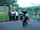 mistica en el cbta 79
