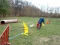 videos de Zira Agility Training