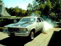 videos de Guanguito's Malibu