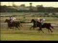 競馬 1997年有馬記念 暴走ファンファーレ