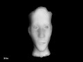 Realtime Subsurface Scattering Skin Rendering On the GPU Realtime Subsurface Scattering Skin Rendering On the GPU