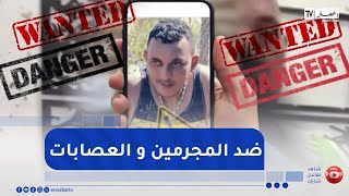 بعد حادثة  هشام الوهراني..جزائريون يثبتون روح المواطنة