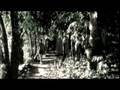 Part 2: History of the Rio Beni Health Project, Bolivia