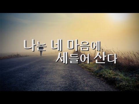 나는 네 마음에 세들어 산다- 박해선