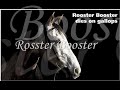 racehorse legends