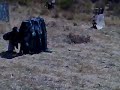 Paintball na trafaria (PT) Edi��o e Imagem: Joaquim Matos
