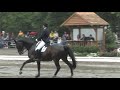 Adrienne Lyle and Wizard Freestyle 2009 Collecting Gaits/USEF Dressage Championships
