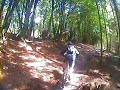 MTB  headcam footage: Waggle Dance & crash @ Leith Hill