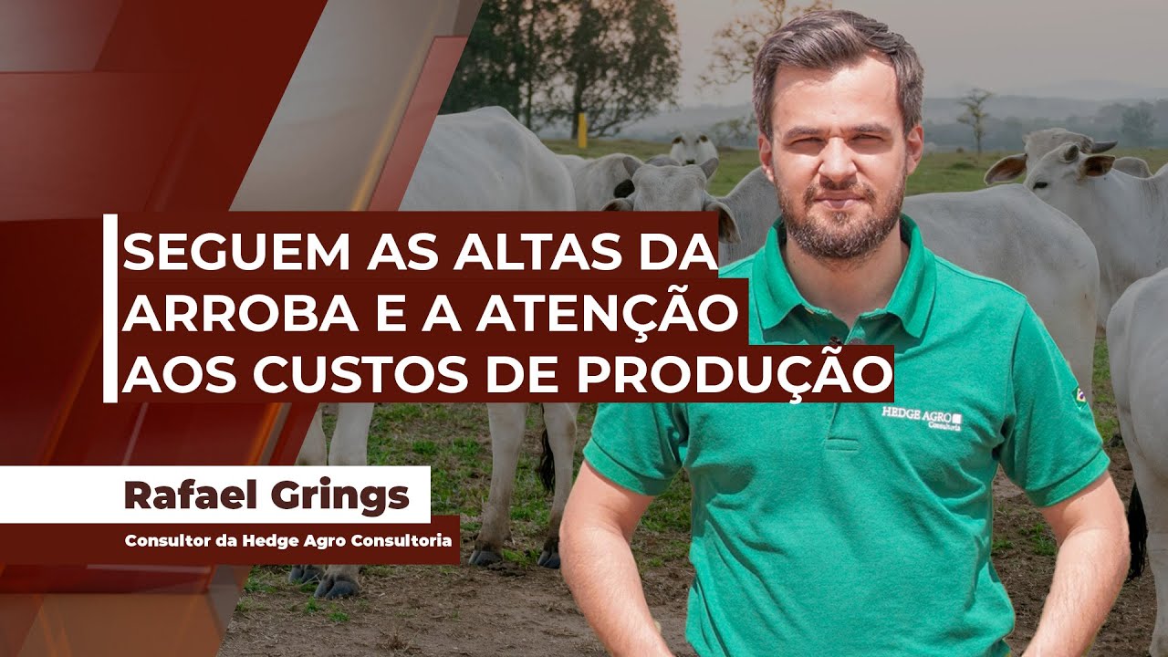 Boi gordo começa mais uma semana com referências acima dos R$ 340/@ em SP e com espaço para novas...
