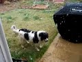 Wiggles in the snow. Wiggles in the snow.