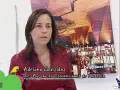 Promoción internacional de la Feria de las Flores 2008