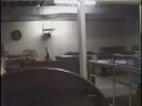 Gang War