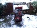 videos de Paz1day1.wmv