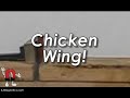 Magnet vs. Chicken Wing!
