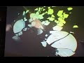 barents-spektakel-2007.html