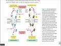 Nuclear transport